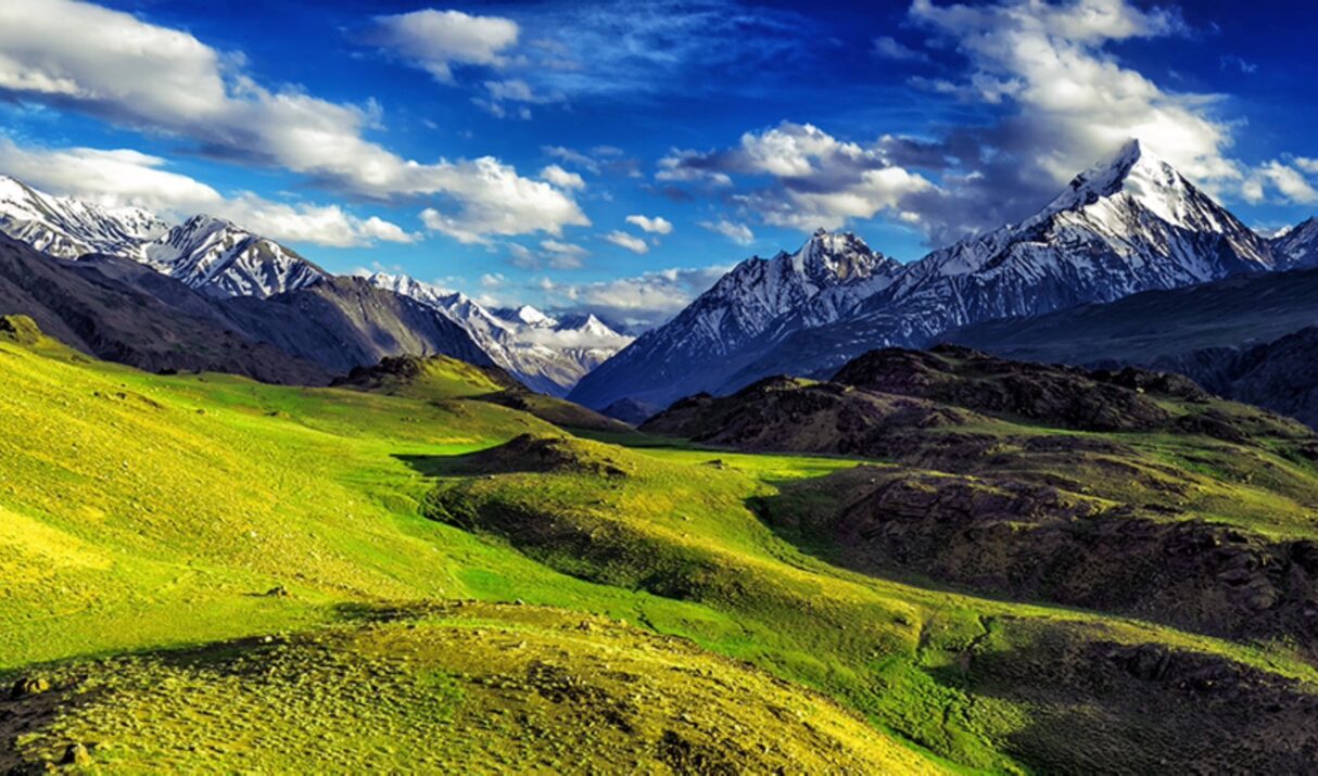 Abu Shakar